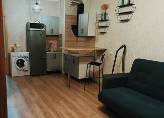 Сдам в аренду квартиру студию, 29 м2, Ленинградская область, Ясная улица, 4
