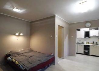 Квартира на продажу студия, 23.5 м2, Санкт-Петербург, Колокольная улица, 5, муниципальный округ Владимирский