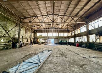 Сдается производство, 1215 м2, Омская область, улица Демьяна Бедного, 152М