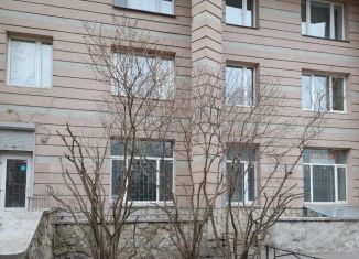 Сдача в аренду помещения свободного назначения, 105 м2, Санкт-Петербург, проспект Художников, 10к1, проспект Художников