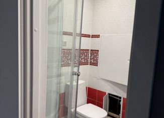 2-комнатная квартира в аренду, 48.7 м2, дачный посёлок Кокошкино, Дачная улица, 1