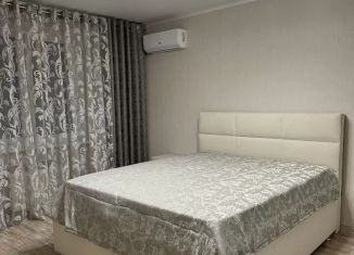 Сдам в аренду 1-комнатную квартиру, 45 м2, Татарстан, улица Наиля Юсупова, 7