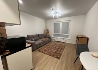 Сдается квартира студия, 23.4 м2, Москва, 1-й Грайвороновский проезд, 3Ак1, ЮВАО