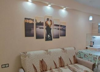 Двухкомнатная квартира в аренду, 36 м2, поселок городского типа Афипский, Софийская набережная, 9