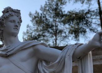 Участок на продажу, 11.5 сот., деревня Ладога