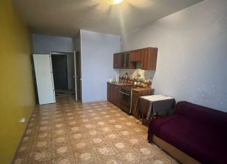 Аренда квартиры студии, 28 м2, Абакан, улица Некрасова, 45