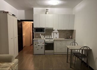 Продается квартира студия, 24.3 м2, Мурино, Воронцовский бульвар, 20к3