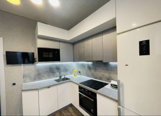 Сдам в аренду двухкомнатную квартиру, 48 м2, Ростов-на-Дону, улица Ерёменко, 110с1, ЖК Пятый Элемент