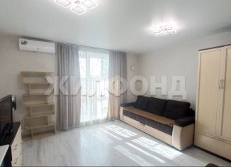 Продам квартиру студию, 26.9 м2, Новосибирск, улица Заслонова, 13/8, метро Золотая Нива
