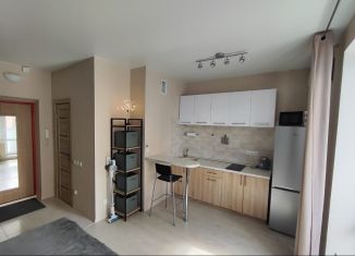 Продам квартиру студию, 25 м2, Воронеж, улица Кривошеина, 13/9, ЖК Трамвай желаний