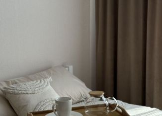 Сдается 1-комнатная квартира, 36.5 м2, Новосибирск, улица Бородина, 54, Кировский район