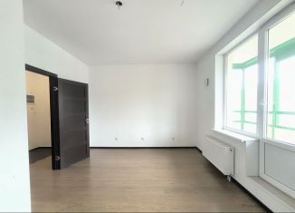 Продается квартира студия, 25.5 м2, Мурино, Графская улица, 8