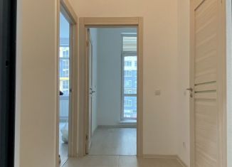 Однокомнатная квартира на продажу, 34.3 м2, Мурино, Ручьёвский проспект, 13, ЖК Айди Мурино