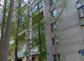 3-ком. квартира в аренду, 61 м2, Санкт-Петербург, проспект Большевиков, 33к5, метро Проспект Большевиков