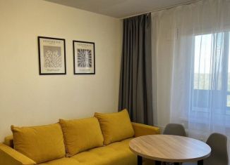 Сдам квартиру студию, 20.8 м2, Санкт-Петербург, Муринская дорога, метро Гражданский проспект