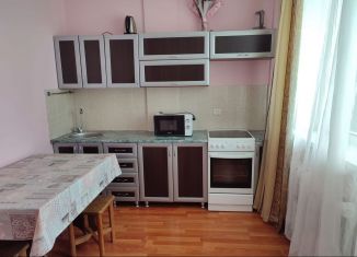 Сдаю в аренду 1-ком. квартиру, 46 м2, Новосибирск, улица Костычева, 74/1, Кировский район
