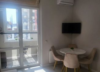 Аренда 1-комнатной квартиры, 47 м2, Екатеринбург, улица Щорса, метро Геологическая