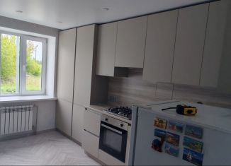 Сдам в аренду 1-ком. квартиру, 43.1 м2, Бор, улица Максима Горького, 62/18