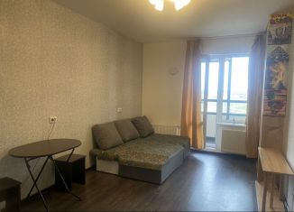Аренда квартиры студии, 23 м2, Санкт-Петербург, проспект Ветеранов, 185к2, Красносельский район