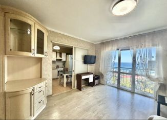 Сдается 1-ком. квартира, 60 м2, Сочи, улица Яна Фабрициуса, 2/4А, микрорайон Яна Фабрициуса