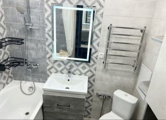 Продается квартира студия, 24 м2, село Новое Шигалеево, улица Габдуллы Тукая, 7