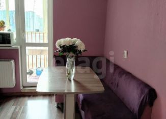 Однокомнатная квартира на продажу, 33.3 м2, Мурино, Оборонная улица, 37к1, ЖК Старая Крепость