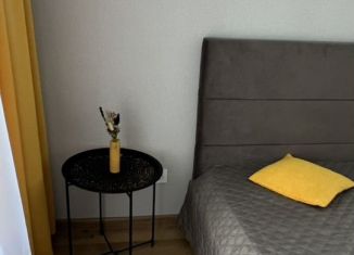 Сдам однокомнатную квартиру, 43 м2, Новосибирск, улица Александра Чистякова, 22/2, Кировский район
