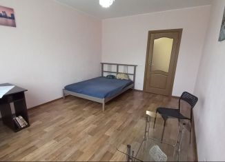 Сдаю в аренду 1-комнатную квартиру, 41.2 м2, Санкт-Петербург, Бестужевская улица, 7к1, Калининский район