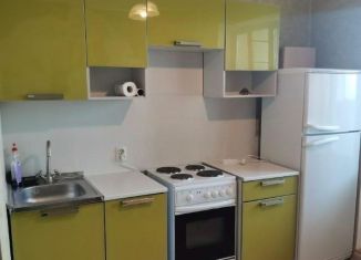 Сдаю в аренду 1-комнатную квартиру, 40 м2, Санкт-Петербург, улица Коммунаров, 188к1, метро Проспект Ветеранов