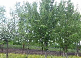 Продается земельный участок, 8 сот., село Чернолесовский, Рябиновый переулок