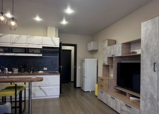 Сдам квартиру студию, 25 м2, Санкт-Петербург, улица Лётчика Лихолетова, 14к3, Красносельский район