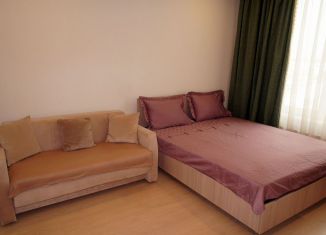 Сдается в аренду 1-комнатная квартира, 45 м2, Москва, 1-я улица Леонова, 18, метро Ботанический сад