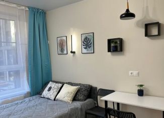 Квартира в аренду студия, 22 м2, Москва, улица Корнейчука, 27
