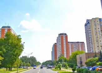 Продажа квартиры студии, 18 м2, Москва, 2-я Вольская улица, 20, метро Некрасовка