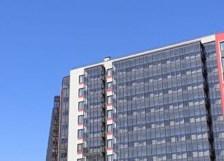 Продаю квартиру студию, 26.8 м2, Мурино, Ручьёвский проспект, 20