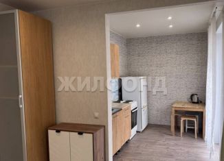 Продаю квартиру студию, 27.3 м2, Новосибирск, улица Дунаевского, 14, метро Заельцовская
