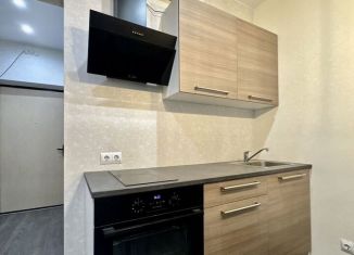 Сдаю квартиру студию, 23.5 м2, Кудрово, Пражская улица, 15