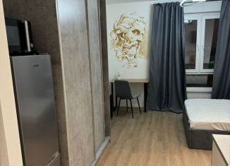 Сдается квартира студия, 23.8 м2, Москва, Новохохловская улица, 15к2, ЮВАО