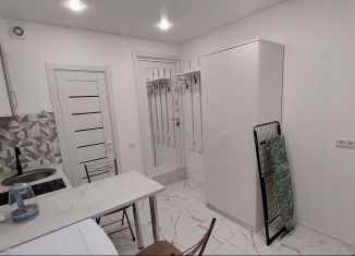 Сдается квартира студия, 21 м2, деревня Глухово, Романовская улица, 17, ЖК Новая Рига