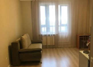 Квартира на продажу студия, 27.6 м2, Санкт-Петербург, Русановская улица, 19к4, муниципальный округ Народный