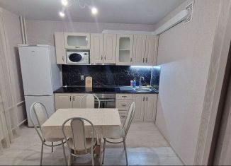 Сдача в аренду 1-ком. квартиры, 27 м2, Ростов-на-Дону, улица Теряева, 8, ЖК Платовский