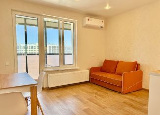 Сдаю в аренду квартиру студию, 27 м2, Санкт-Петербург, бульвар Головнина, 4, метро Приморская