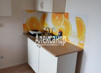 Аренда квартиры студии, 23 м2, Санкт-Петербург, набережная реки Каменки, 21к1, метро Проспект Просвещения
