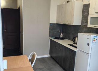 Аренда 1-комнатной квартиры, 35 м2, Свердловская область, улица Мира, 1Бк2