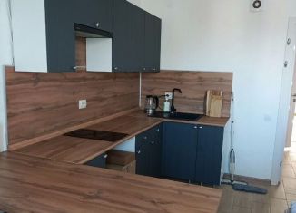 Продаю 1-ком. квартиру, 34.2 м2, Нижний Новгород, Новокузнечихинская улица, 5, Советский район