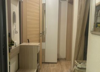 1-комнатная квартира на продажу, 33.3 м2, Санкт-Петербург, Красногвардейский район, Пейзажная улица, 4к1