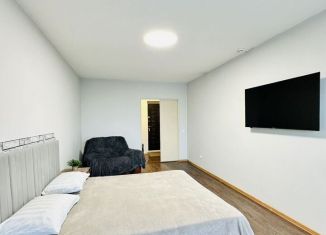 Однокомнатная квартира на продажу, 52 м2, Томск, Большая Подгорная улица, 87блок2, ЖК Большая Подгорная