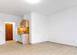 Продаю квартиру студию, 22 м2, Санкт-Петербург, Звенигородская улица, 8-10А, муниципальный округ Владимирский
