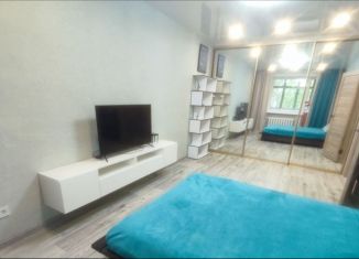 Сдам в аренду 1-ком. квартиру, 31 м2, Ульяновск, Камышинская улица, 49, Засвияжский район