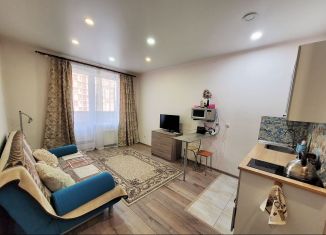 Квартира на продажу студия, 24.4 м2, Кудрово, Пражская улица, 9